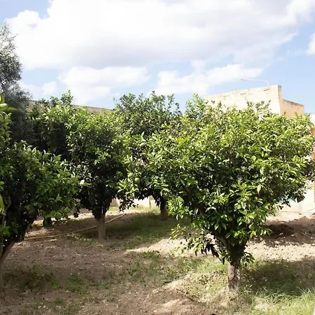 别墅 Farmhouse In Mgarr, Malta *